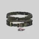 Belt4.webp