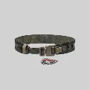Belt3.webp